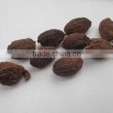 Vietnam Black Cardamom Supplier (Ms. Emma:+84965152844) thumbnail-1