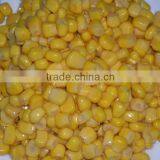 Istant Quick Frozen Sweet Corn Kernels 10kg/ctn