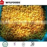 IQF Frozen Apricot Dices Best Price Good Quality thumbnail-1