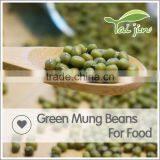 Chinese Export Green Mung Beans Specification thumbnail-1