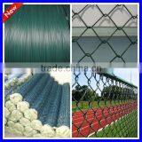 Competitive Price Chain Link Fencing
