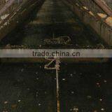 Manure Removal System for Poultry House