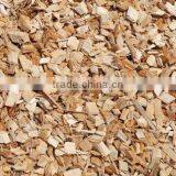 Eucalyptus Wood Chips From Vietnam thumbnail-5