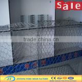 hot sale hexagonal chicken wire/gabion mesh for chicken breeding(manufacturer)