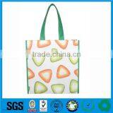 Shopping Bag China Proveedor Supply thumbnail-2