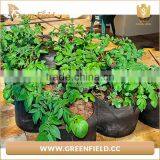 Eco Friendly Garden Felt Grow Bags Recyclable Fabric Plant Grow Bag thumbnail-4