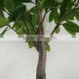 Factory Direct Sale Ornamental Fake Magnolia Flower Tree thumbnail-3