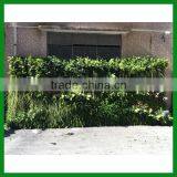 Artificial Vertical Green Wall thumbnail-2