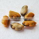 Mussel Meat Frozen thumbnail-1