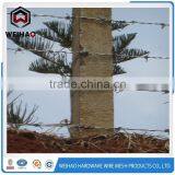 Heavy Duty Sharp Barbed Wire thumbnail-5