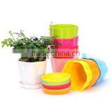 Creative Plastic Flower Pot Wholesale thumbnail-2