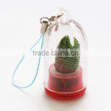 Live Mini Plant and Plant Pet Tree thumbnail-4