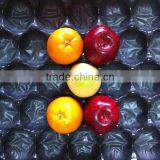 China Professional FDA&SGS Approval Disposalbe Soft PP Fruit Transporting Tray thumbnail-5