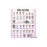 Sell Shell Buttons (Marten's Pearl Oyster) thumbnail-1