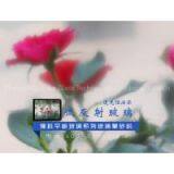 Low-reflection Glass Frosting Powder thumbnail-1