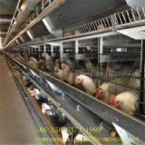 Poultry Cage Manufacturers in Up_shandong Tobetter is Famous for Its High Quality