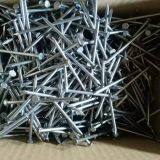 Q195 Common Iron wooden Wire Nails