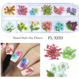 For Nail Decorations Daisy Camellia Dry Flower Dried Pressed Flowers For Nails