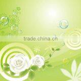 3-5.5mm Decoration Glass Starfish