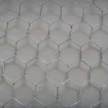 Galvanized Hexagonal Wire Netting Chicken Wire Mesh