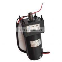 24 Volt 100W and Gear Ratio 50 36 Rpm Output DC Gear Motor