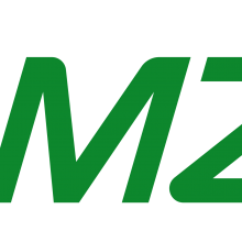 LMZ INTERNATIONAL LTD.