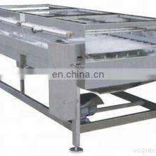 Onion Cleaning Machine thumbnail-2