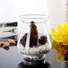 Clear Round Transparent Hydroponic Flower Glass Hyacinth Bud Vase for Home Decoration thumbnail-2