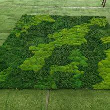 OEM Sizes of Eternal Moss Wall for Office, Home and Public Sites Decoration thumbnail-2