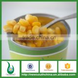 Yellow Corn Suppliers from China 425g