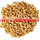 Natural & Pure Fenugreek Essential Oil