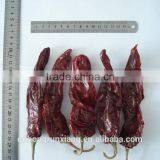Stem or Stemless, Dried Red Sweet Paprika,chilli Pepper thumbnail-6