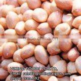 RED SKIN PEANUTS KERNEL