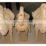 Chinese Ancient Pottery Animals thumbnail-1