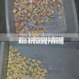 New Design Hot Sale Garlic Peeling Machines From Factory thumbnail-6