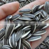Inner Mongolia sunflower seeds 5009