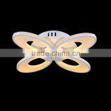 Modern LED Ceiling Lamp (HS31015X-4) thumbnail-1