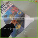 Window Decal Gel Stickers Covering One Way Vision thumbnail-5