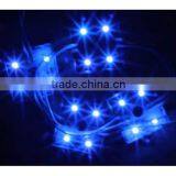 SDSLED 3528 Led Module IP65 Blue Light DC12V 20PCS Module Led