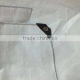 PLASTIC PE TARPAULIN 100% Virgin New Raw Material Custom Size All Purpose High Tensible Striped Hem Prenvent uv Tear-resisntant thumbnail-2