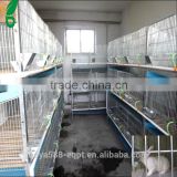 plastic rabbit hutch indoor rabbit cages cheap prices with good quality