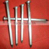 Fast Sell Galvanized Square Boat Nails