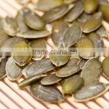 GWS Pumpkin Seed Without Shell for Sale thumbnail-2