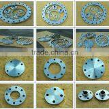 Professional 900lbs Blind Flange With Low Price thumbnail-1