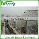 Agricultural Greenhouse thumbnail-5