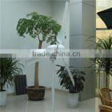 500w Wind Turbine thumbnail-1