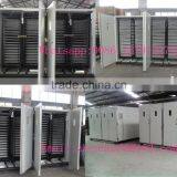 Great quality 20000 eggs chicken hatchery machine price