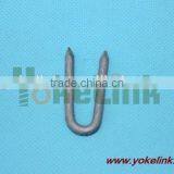 Galvanized Rolled Point U Staple Nail/ U Type Nail thumbnail-1