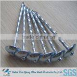 Electro Galvanized Roofing Nails