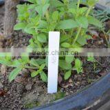 105mm Plastic Plant Tags thumbnail-1